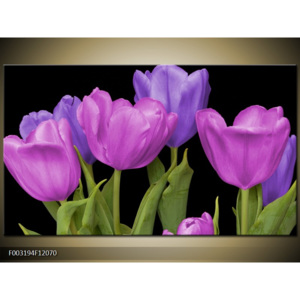 Obraz Pět tulipánů - vínová a fialová