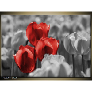 Obraz Tři červené tulipány