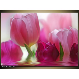 Obraz růžové tulipány