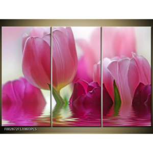 Obraz Vínové tulipány