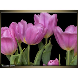 Obraz Růžové tulipány