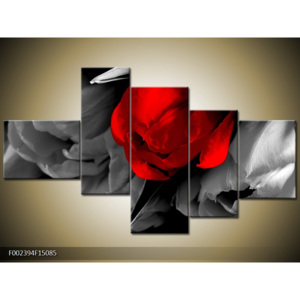 Obraz Tulipány - černobílá a červená