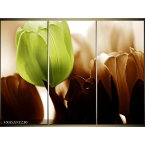 Obraz Zátiší - tulipány hnědá