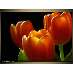 Obraz Tři tulipány