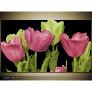 Obraz Pět tulipánů - růžová