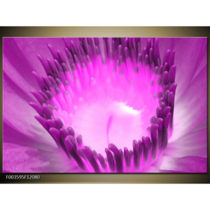 Obraz Vnitřek fialového květu