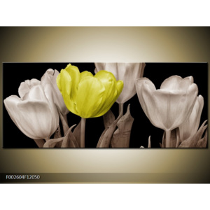 Obraz Kytice tulipánů - bílá a žlutá