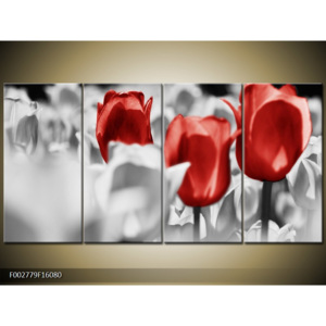 Obraz Pole tulipánů zblízka - červená