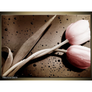 Obraz Propletené růžové tulipány