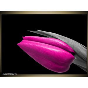 Obraz Poupě růžového tulipánu