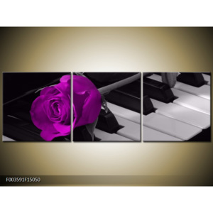 Obraz Fialová růže na klavíru