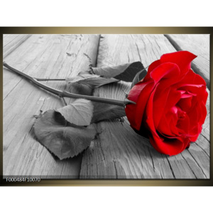 Obraz Rudá růže