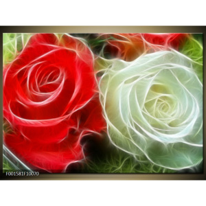 Obraz Červená a bílá růže - upravené