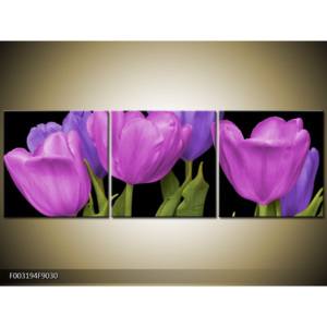 Obraz Pět tulipánů - vínová a fialová