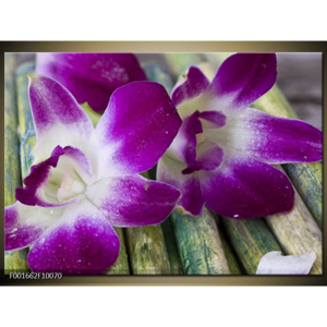 Obraz fialová orchidej abstrakce