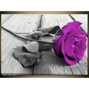 Obraz fialová růže na molu
