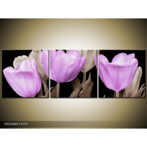 Obraz fialové tulipány