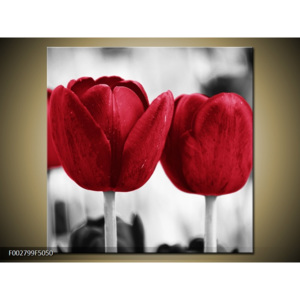 Obraz červené tulipány