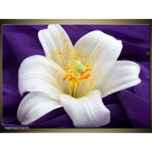 Obraz bílá lilie
