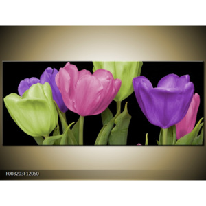 Obraz Pět tulipánů - vínová a zelená