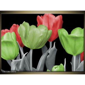 Obraz Pět tulipánů - červená a zelená