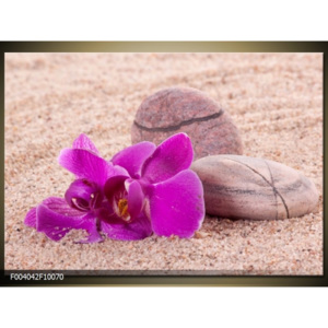 Obraz fialové květy orchidej s kameny