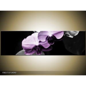 Obraz Orchideje - černobílá a fialová