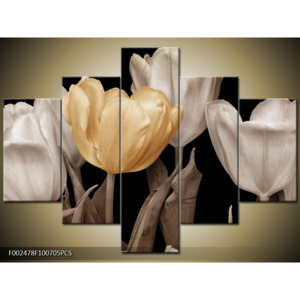 Obraz Tulipány - krémová