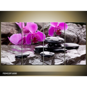 Obraz fialová orchidej s kameny