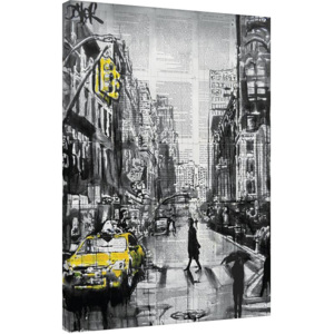 Obraz na plátně Loui Jover - Brooklyn Cab, (60 x 80 cm)