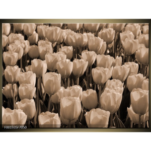 Obraz obraz abstrakce tulipány