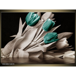Obraz Svazek tulipánů - bílá a tyrkysová