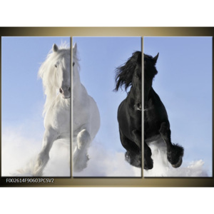 Obraz černý a bílý kůň