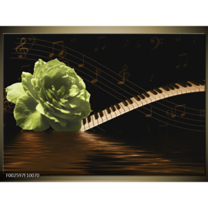 Obraz Zelená růže, noty a klavír
