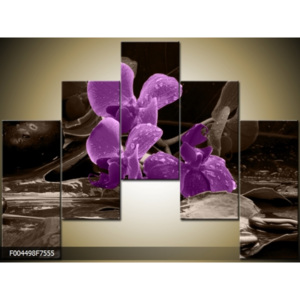 Obraz orchidej