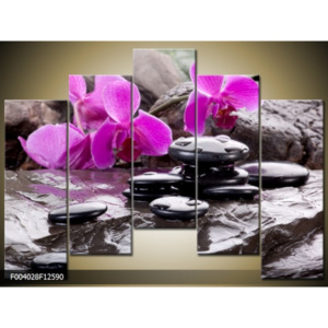 Obraz fialová orchidej s kameny