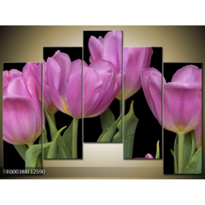 Obraz Růžové tulipány