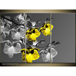 Obraz Keřík - černobílá a žlutá