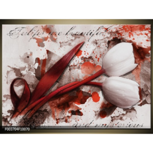 Obraz tulipány