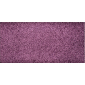AKCE: 80x120 Kusový koberec Color Shaggy fialový, Rozměry 80x120 Vopi koberce