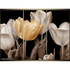 Obraz Tulipány - krémová