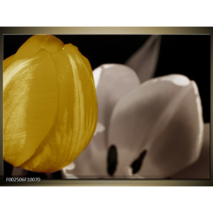 Obraz Lilie a žlutý tulipán