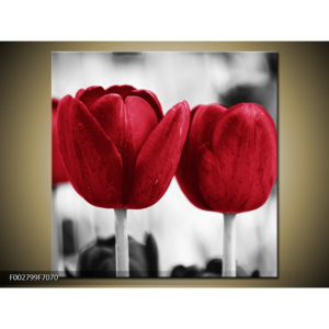 Obraz červené tulipány