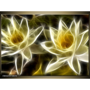 Obraz Lotosové květy - grafika
