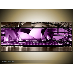 Obraz Sydney Opera house - fialová