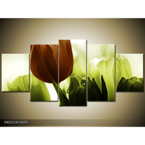 Obraz Zátiší - tulipány zelená