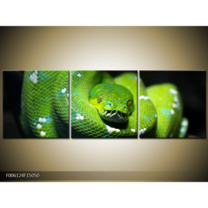 Obraz zelený had