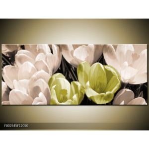 Obraz Tulipány shora - bílá a žlutá