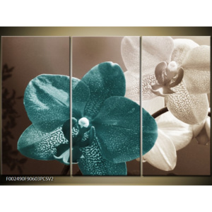 Obraz Orchidej - bílá a modrá