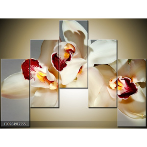 Obraz Tři bílé květy